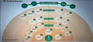 Behandeling bij overgewicht en lvb
