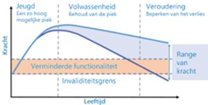 Spierkracht per leeftijd